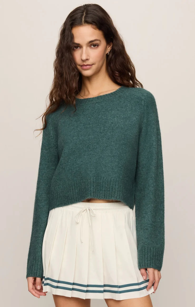 Z Supply Stand in Sweater